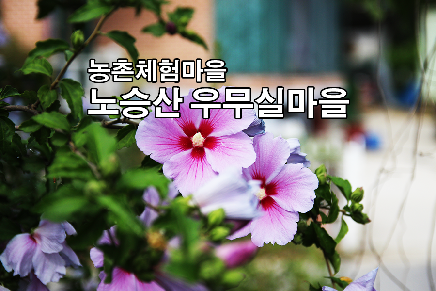 노승산우무실마을 이미지