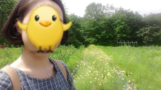 란스플로리스트꽃꽂이학원 이미지