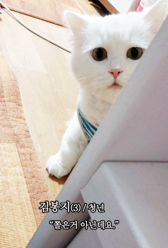 김*남3 이미지