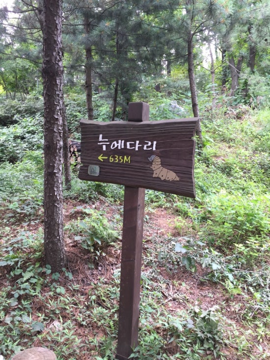 하남돼지집 서초점 이미지