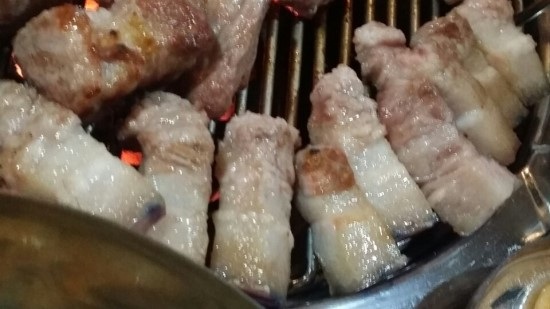 제주애돈 이미지