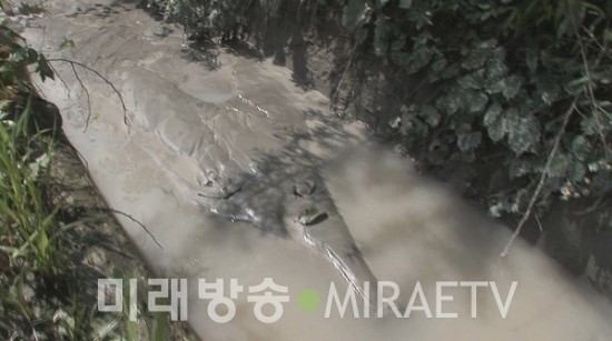 대양시멘트 이미지