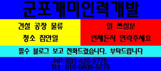 개미건설철거인력 이미지
