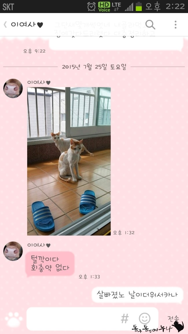 싹퉁머리 이미지