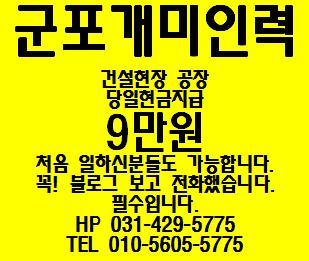 개미건설철거인력 이미지
