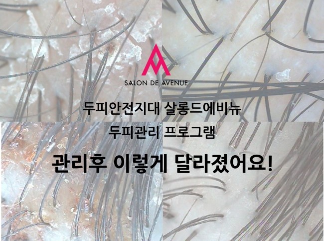 안전지대미용실 이미지