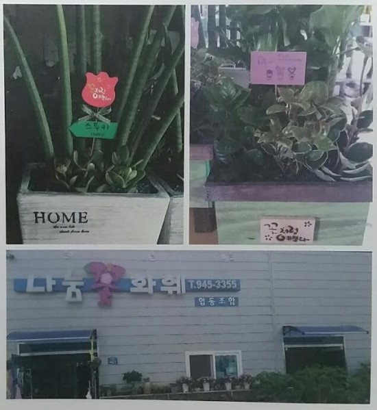 나눔유통협동조합 이미지