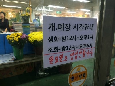 시장꽃도소매 이미지