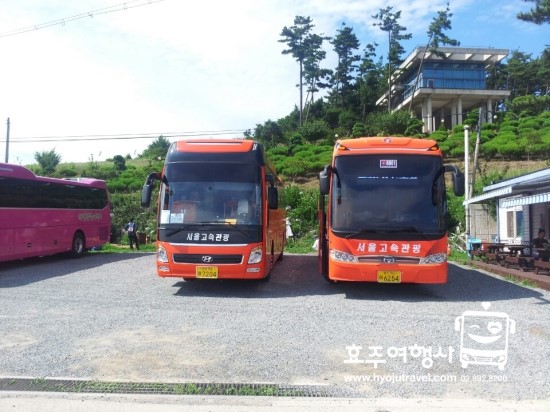 효주여행사 이미지