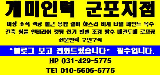 개미건설철거인력 이미지