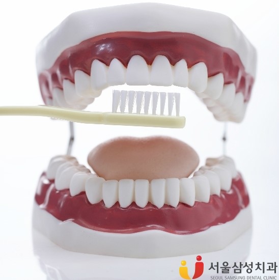 서울삼성치과 이미지