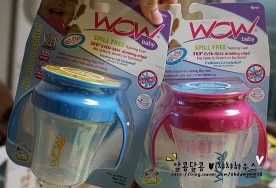 컵짱 이미지