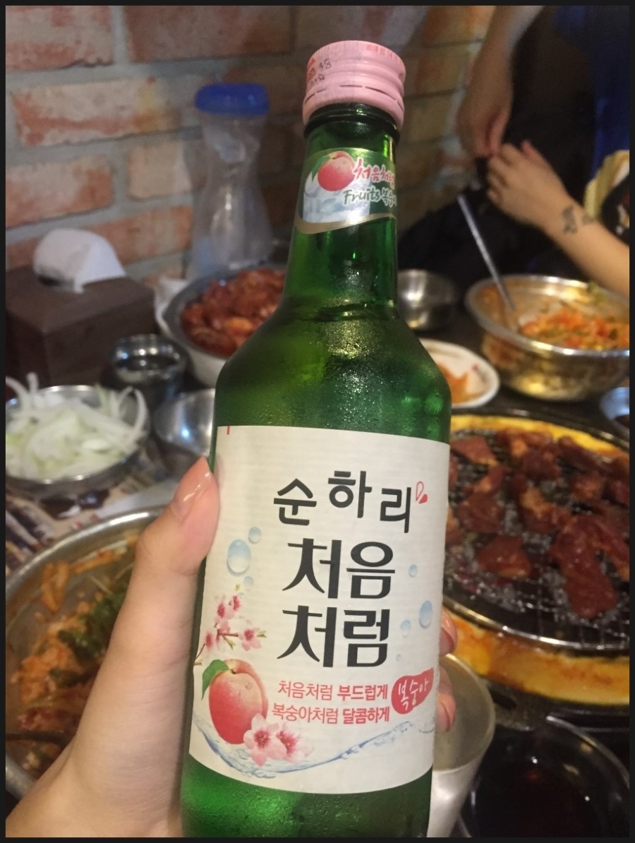안산갈매기 이미지