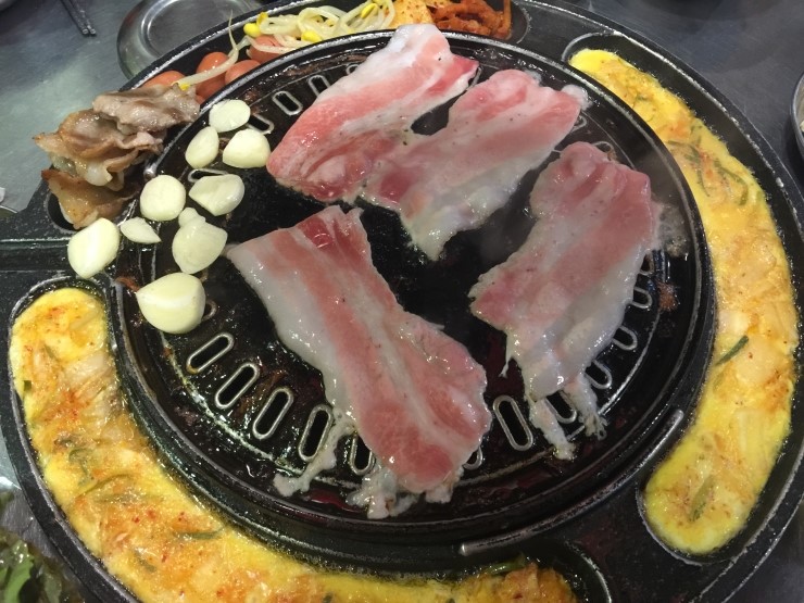 왕마포갈매기 이미지