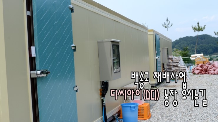 디씨아이 이미지