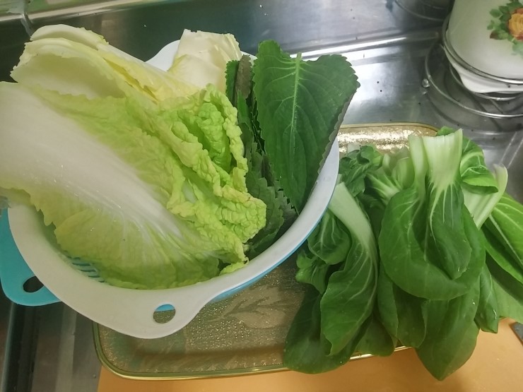 파티하는날 이미지