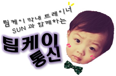 왕마포갈매기 이미지