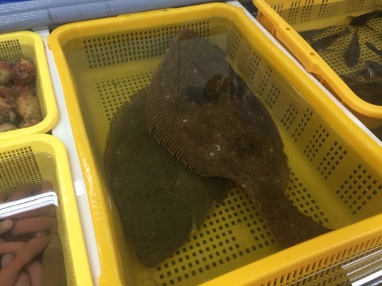 부산수산 이미지