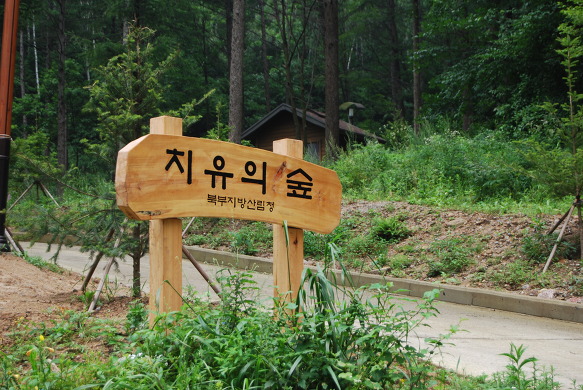 청태산 치유의 숲 이미지