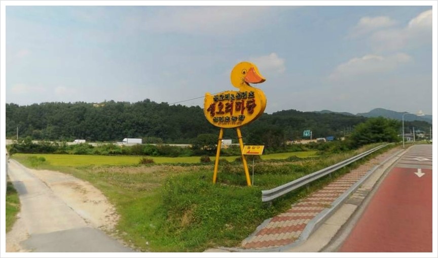 생오리마당 이미지
