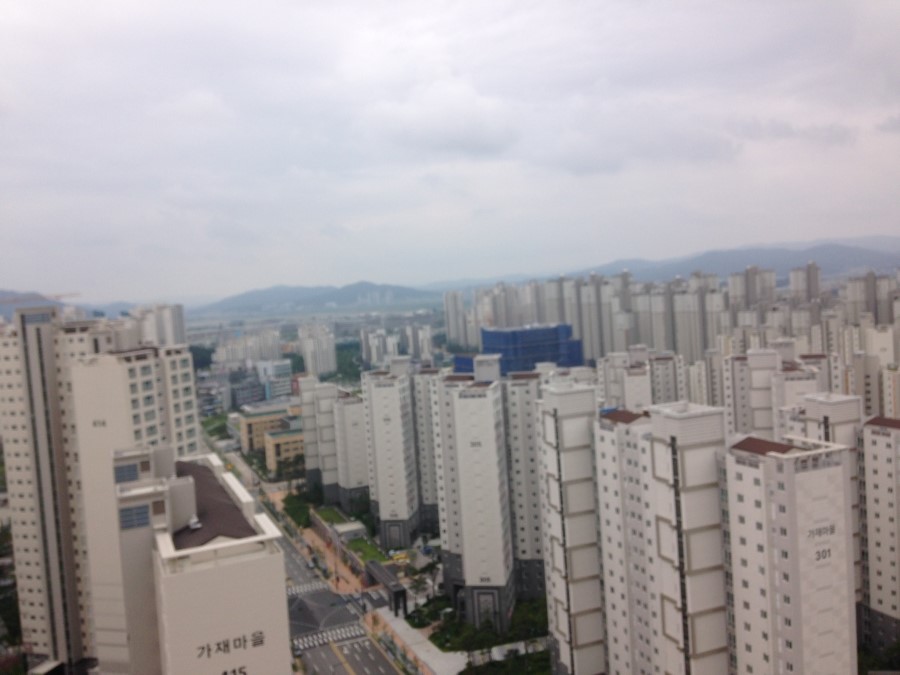 루나체 이미지