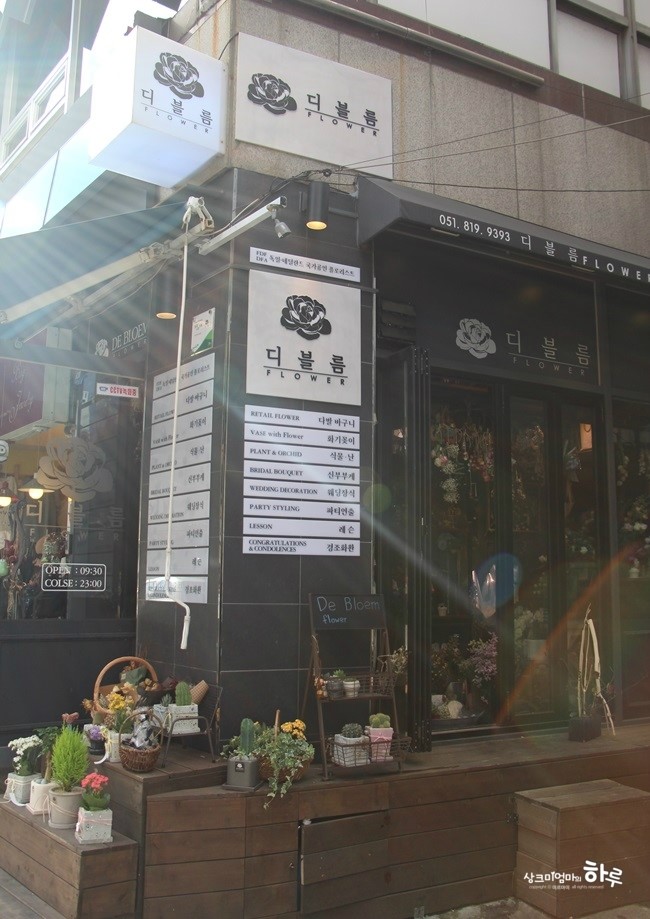 디블름 이미지