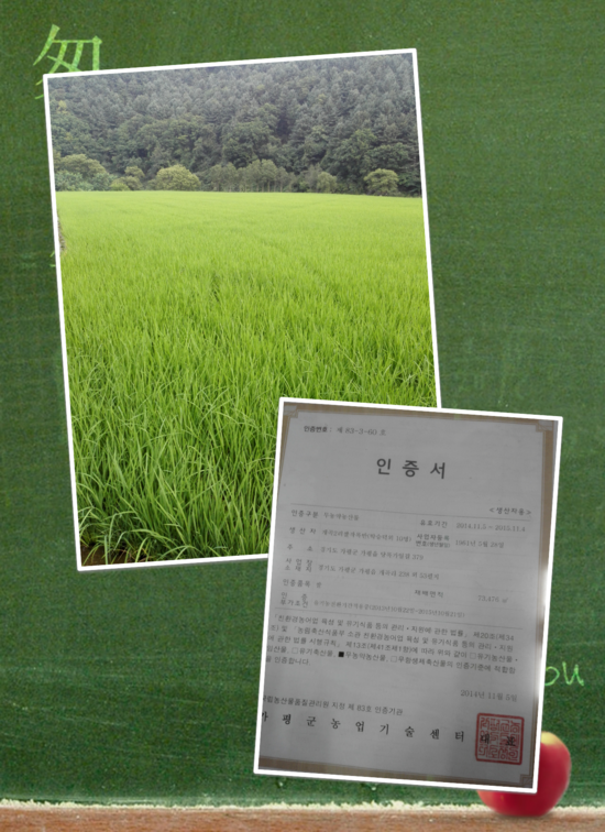 삼백양봉 이미지