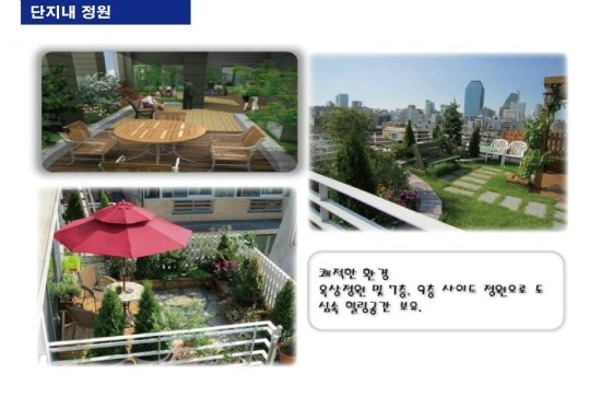 신대안개발 이미지
