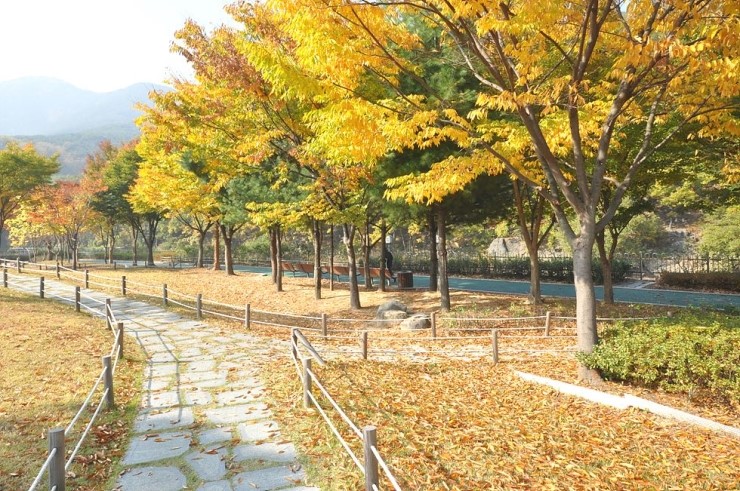 명성의원 이미지