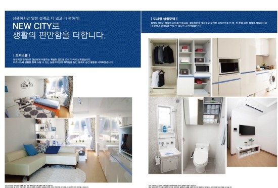 신대안개발 이미지