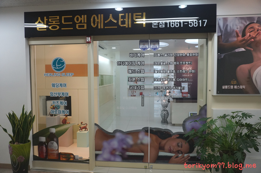 살롱드샤르망 이미지