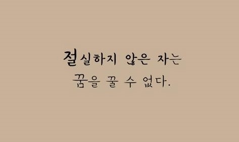 스카이윙 이미지