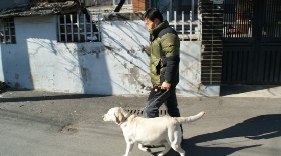 호야농장 이미지