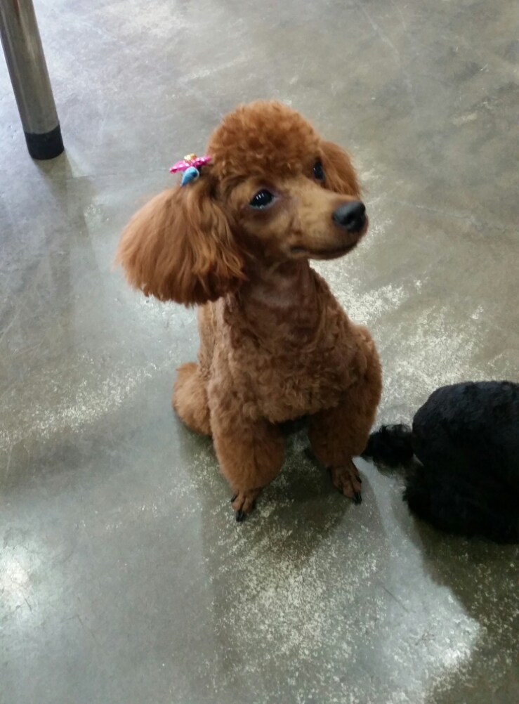 크로바미용실 이미지