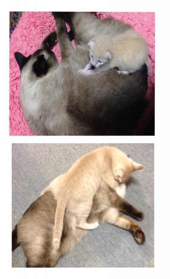 아쿠아통신 이미지