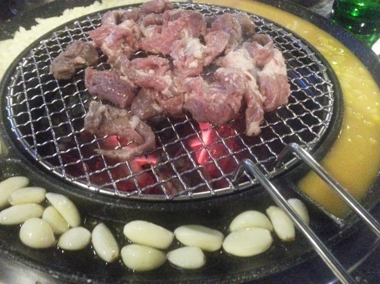 갈매기먹짱 이미지