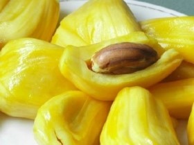 파오Phao 이미지