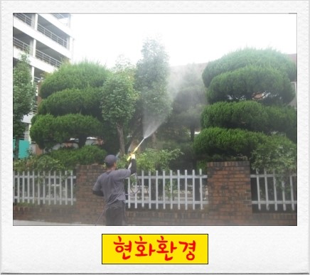 현화환경 이미지