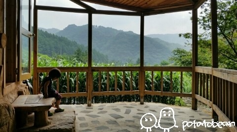 자매집옥수수 이미지