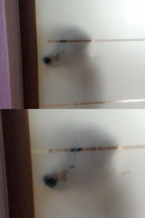 서울한식뷔페 이미지