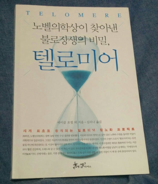 상이앤나 이미지