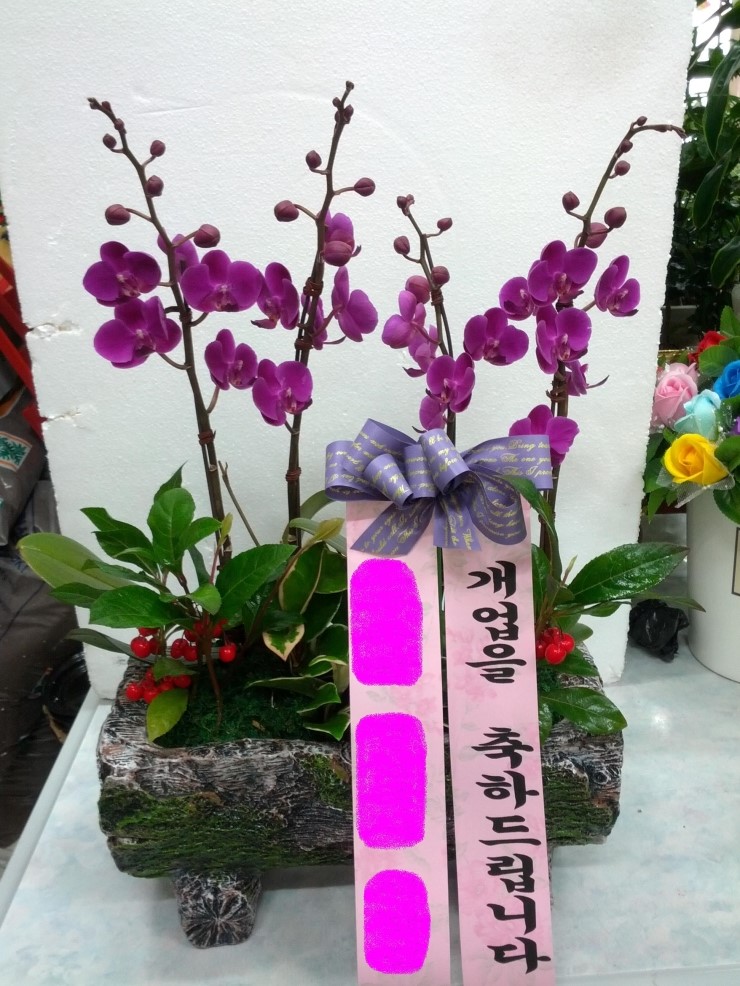 백천미용실 이미지