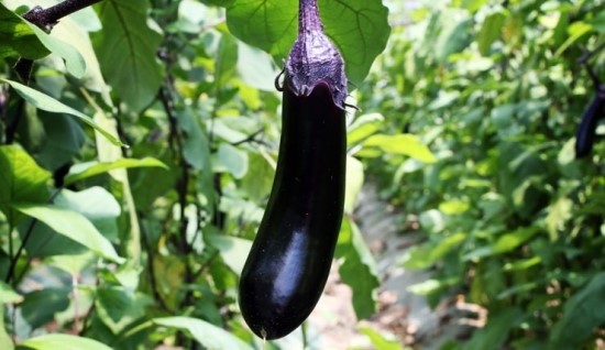 (주)고향마루 이미지