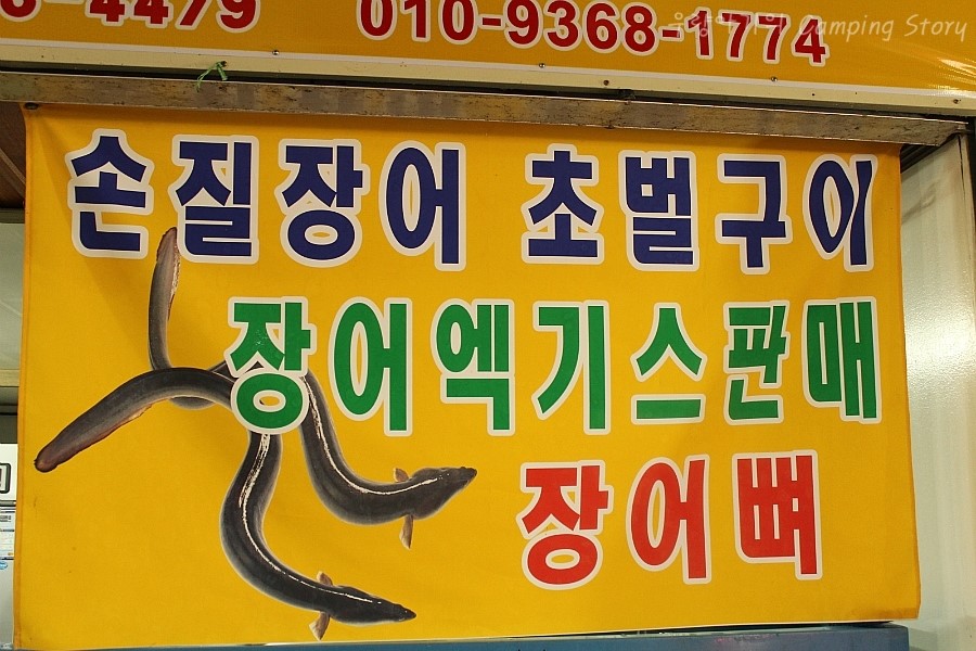 샘골장어 이미지