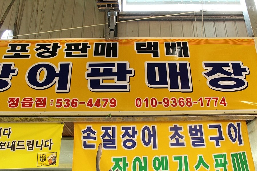 샘골장어 이미지