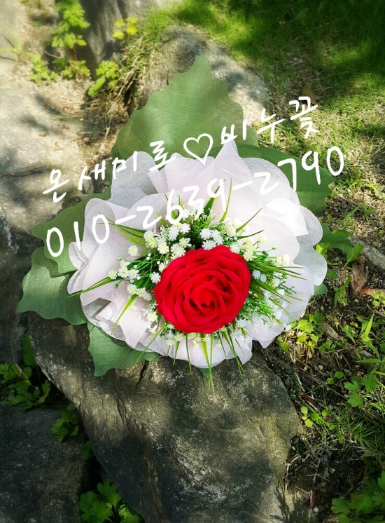 꽃온새미로 이미지