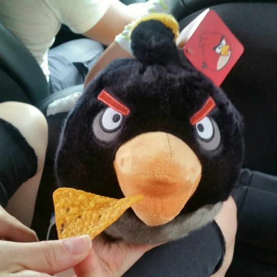 K-래프팅 이미지