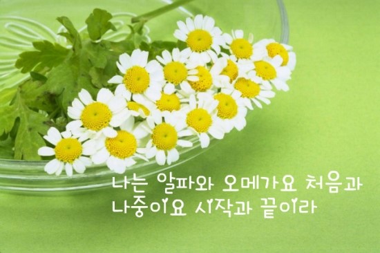 (주)알지힐링 이미지
