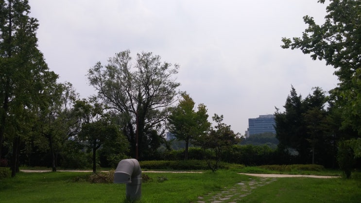 여우별 이미지