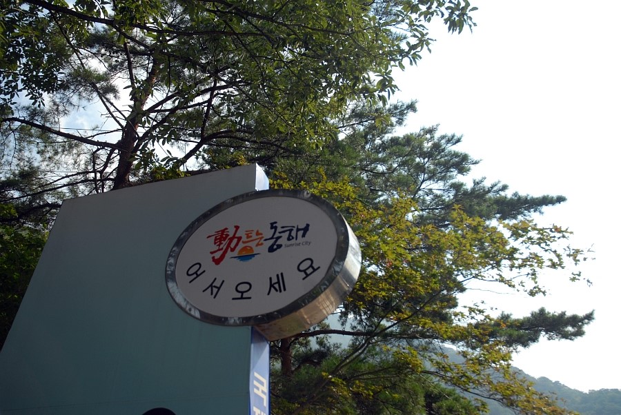 청옥야영장 이미지